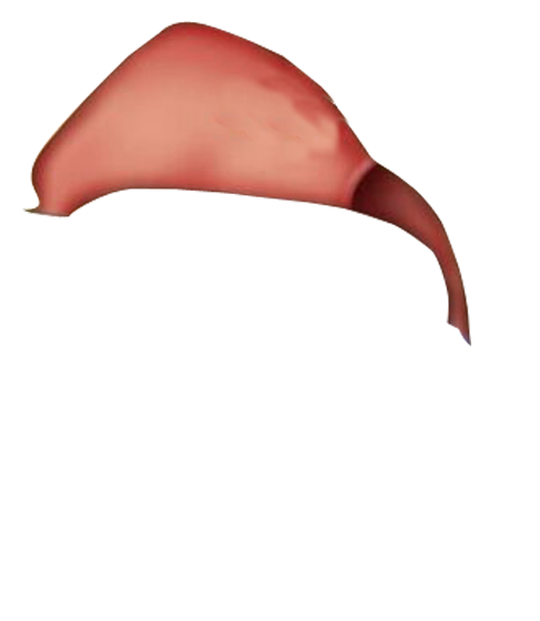 Al-Khaisyum